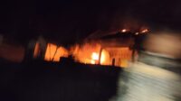 IMG-20250131-WA0008