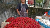 IMG-20250415-WA0011