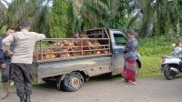 IMG-20250516-WA0001