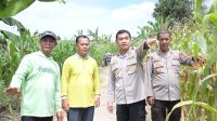 IMG-20250523-WA0013