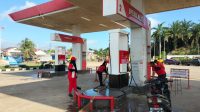 IMG-20250615-WA0003