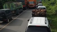 IMG-20250813-WA0012